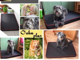 Hundematte Hundebett 