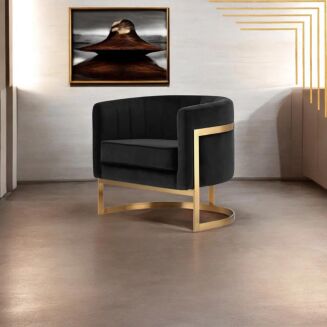Glam Elegance – Design-Sessel mit Edelstahlrahmen - 6